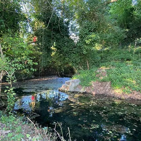 Дом отдыха Tenerisognidori *