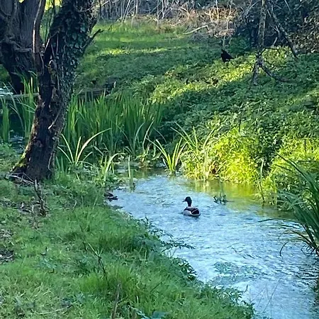 Дом отдыха Tenerisognidori Камайоре