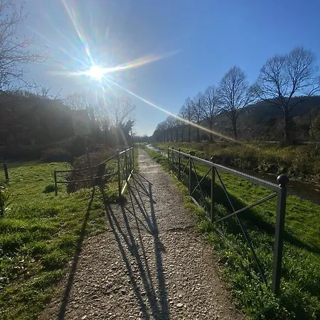 Tenerisognidori * Камайоре