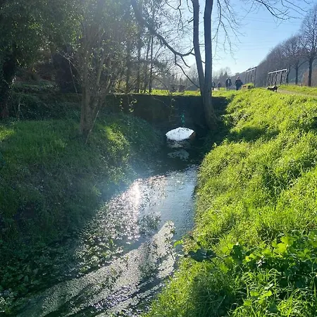 Tenerisognidori Дом отдыха Камайоре