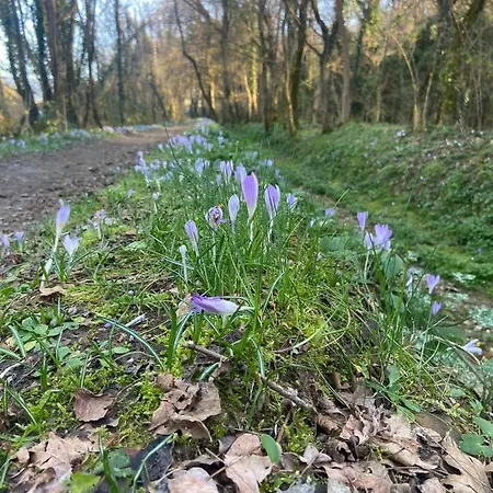 Tenerisognidori Дом отдыха