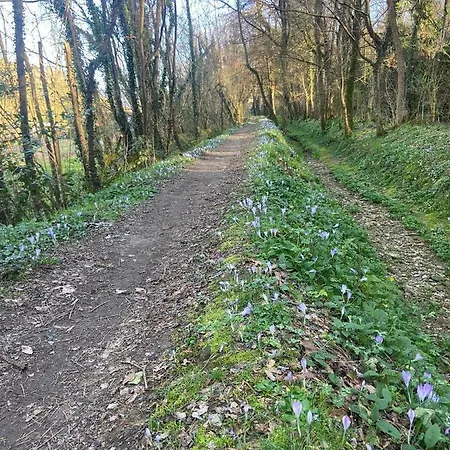 Tenerisognidori Дом отдыха *