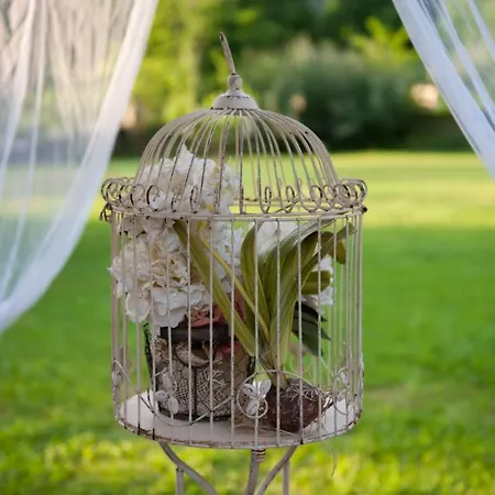 Tenerisognidori * Камайоре