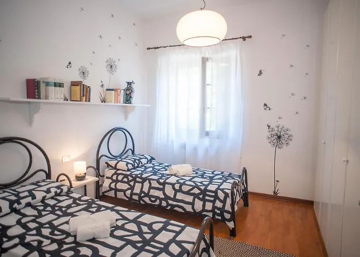 Tenerisognidori カマイオーレ