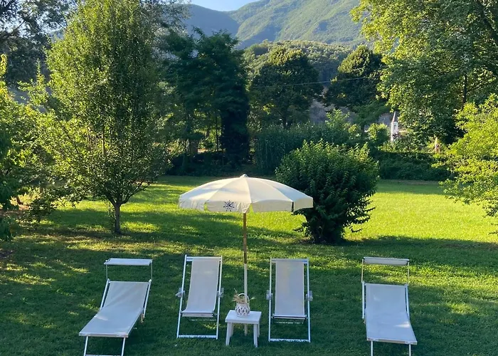 Tenerisognidori * カマイオーレ