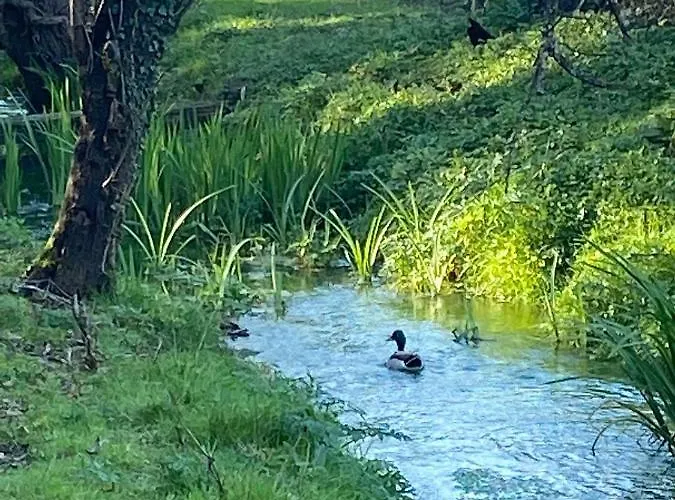 別荘 Tenerisognidori カマイオーレ