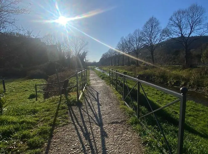 Tenerisognidori * カマイオーレ