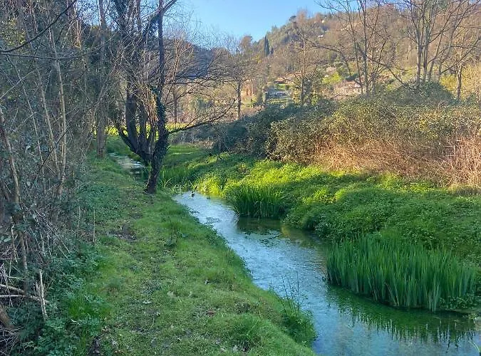 別荘 Tenerisognidori *