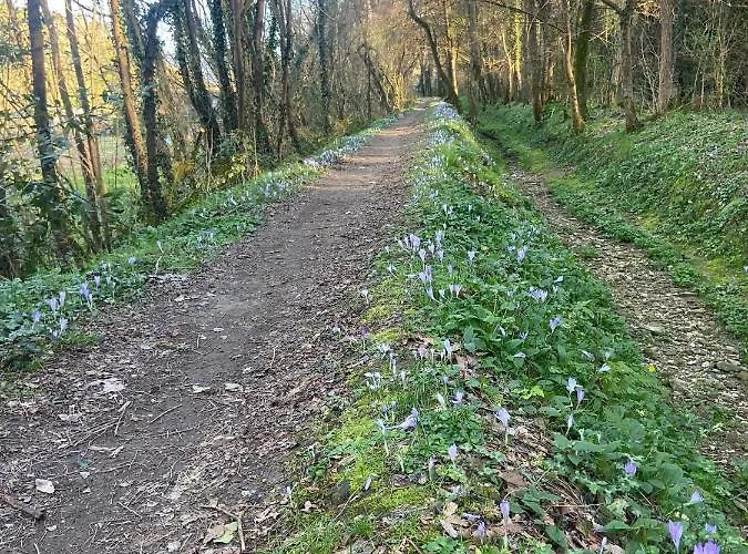 Tenerisognidori 別荘 *