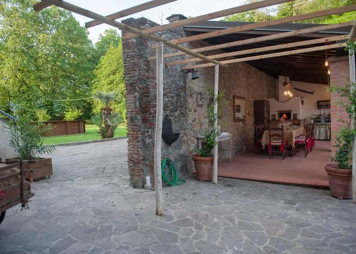 Tenerisognidori カマイオーレ